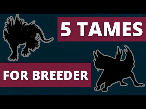 5 TAMES that make you a PRO BREEDER