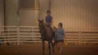 preview picture of video '8/30/08 Horse Show'