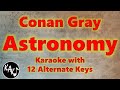Astronomy Karaoke - Conan Gray Instrumental Lower Higher Female Original Key
