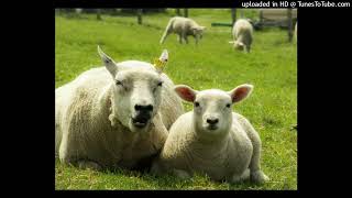 Lucian Green - Mother's Day 2024 Song 1