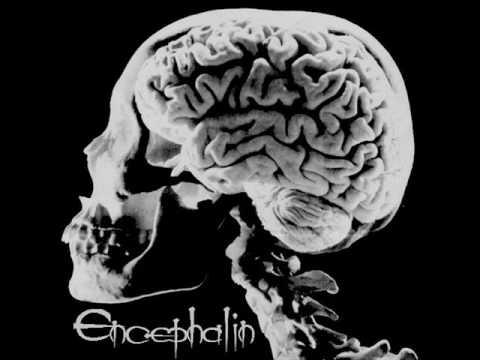 Encephalin - of Love and Hate