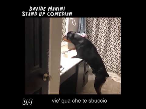 Quando ripensi a una discussione passata e ti risale la scimmia