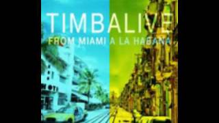 Timba Live - Dame un tin