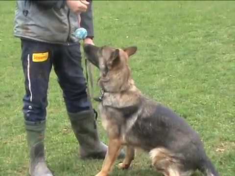 Honey z údolí Úpy  spring 2017