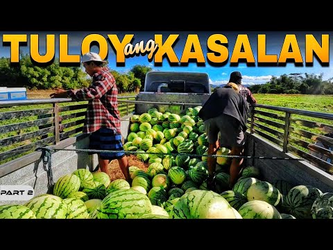 P2-TULOY ANG KASALAN - EP1226