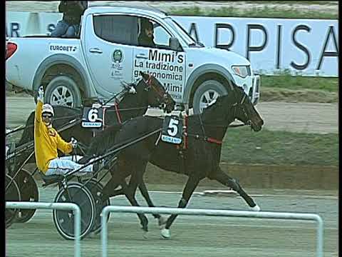 Trotto 10/12/2017 - 4ª corsa