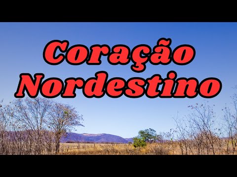 Música: Coração Nordestino - Ministério Sal da Terra