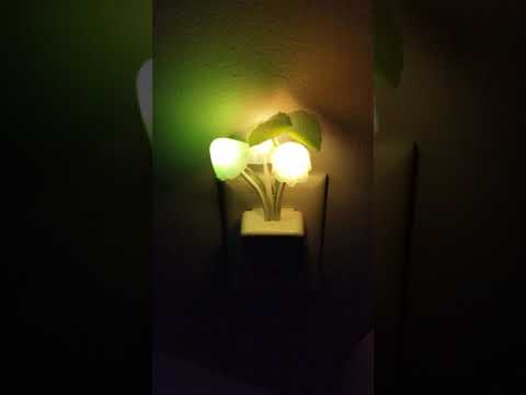 LED Flower Light