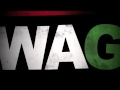 DAVID BANNER "SWAG" 