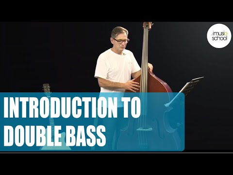 Lew Mele - Introduction to Double Bass
