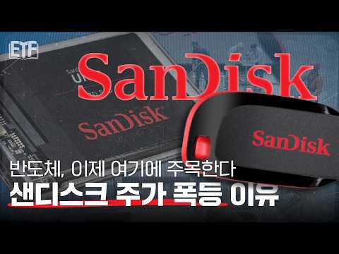 우리 회사 진짜 망하는 줄 알았다.. AI 메모리 반도체로 주가 폭등 이뤄낸 샌디스크 | ETF 백서 📖 EP1. 샌디스크