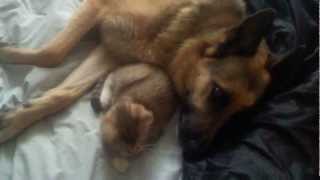 Noisy Whirlpool Cabrio washer during spin