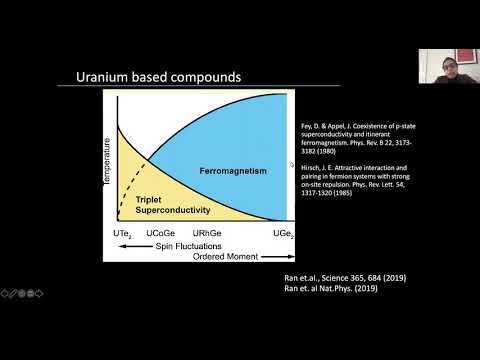 Atomic-scale quantum materials colloquium, February 15th 2021, Vidya Madhavan (U. Illinois, US)
