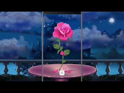 download lagu mp3 mp4 Video Rose Wallpaper Download, download lagu Video Rose Wallpaper Download gratis, unduh video klip Video Rose Wallpaper Download