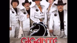 Sin Volverte Haber-Bronco el Gigante de América