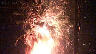 Blazing Palm Tree / LAFD