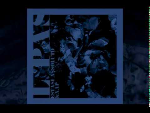 estasi assoluto - ｐａｓｉｏｎａｌ (prod. xap)