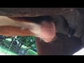 Milk Break 2