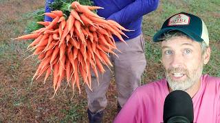 What Can Come in With The Compost + Growing Summer Carrots