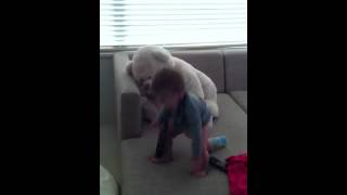 Jada dancing 15 months old.MOV