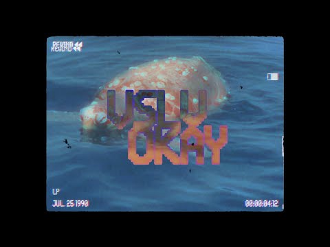 VSLV - OKAY (Official Video)