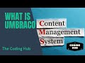 What Is Umbraco Umbraco CMS Benefits And What Is It