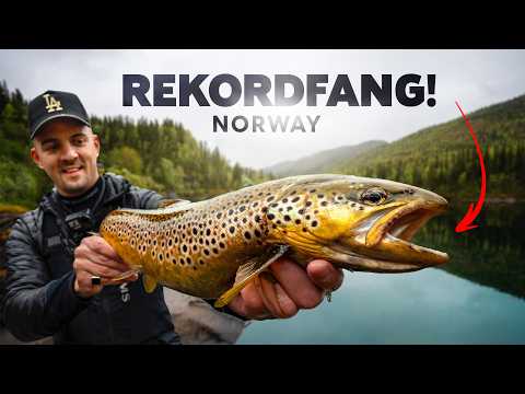 Angeln in Norwegen: Riesige Forellen im Fjord und Bergsee!