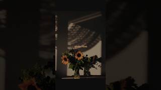 Download lagu gede roso tresno iki tulus kanggo sliramu #liriklagu #jawa #sad mp3 Download lagu gede roso tresno iki tulus kanggo sliramu #liriklagu #jawa #sad mp3