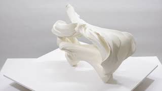 TEMPEST Fujikasa Satoko at Joan B Mirviss LTD | In the Artist's Words