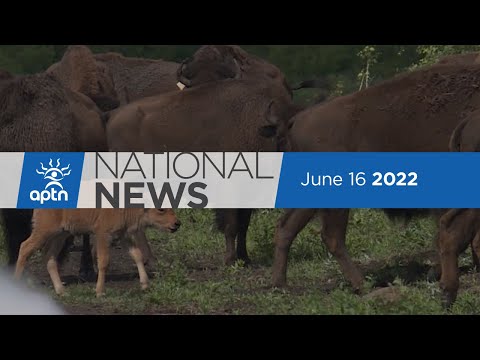 APTN National News July 16, 2022 – Drug crisis hitting Fort Frances, Frank Young special service