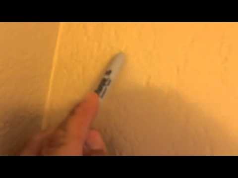 Termite Spot - Tiny Evidence