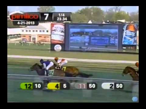 Coach - 2013 Pimlico Allowance Race - Ninth Place Finish