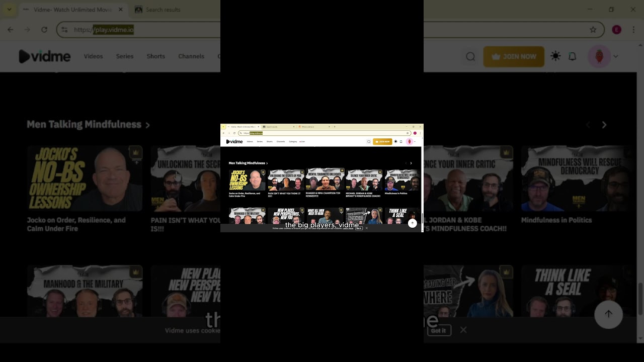 Vidme Review