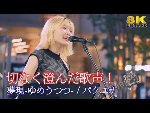【 歌うま 】切なく澄んだ歌声！ " パクユナ" オリジナル曲「夢現-ゆめうつつ-」Kabukicho Street Live より 8K映像