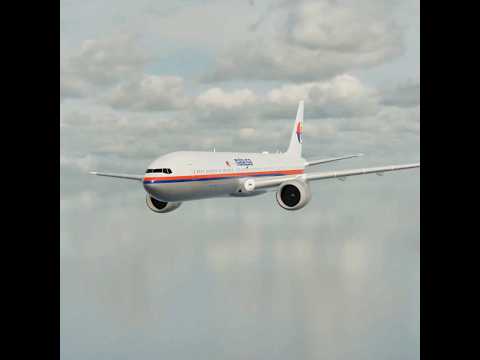 Malaysia Airlines 17 | The Deadliest Flight That Has Been Shot Down #mh17 #b777 #plane #crash #cvr