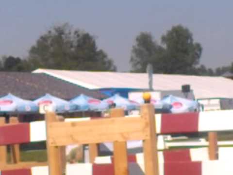 Pferd international 2015