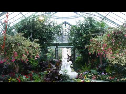 Mo Anando — Green House