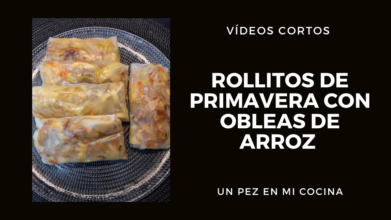 Rollitos de primavera con obleas de arroz