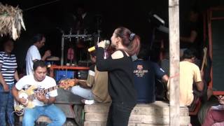 Download lagu Warung cetol Voc. Yola kamplong | Singa Dangdut Simba Putra 2017 mp3