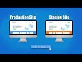 Setup A WordPress Staging Site Clone WordPress With WP STAGING