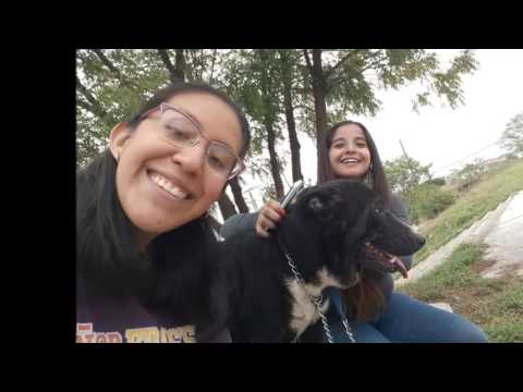 Un VIDEO dedicado a la Adopción de Valeska GRACIAS!!