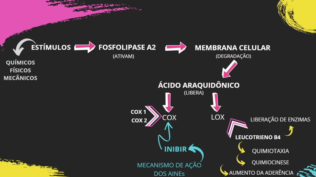 VideBula: MECANISMO DE AÇÃO DOS AINES NA CASCATA DA INFLAMAÇÃO - VÍDEO 2