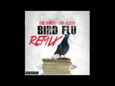 bird flu shy glizzy