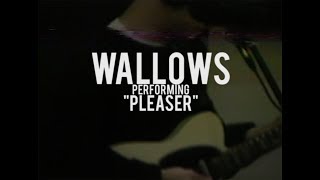 Wallows - &quot;Pleaser&quot; - Live at North Dwarf Records