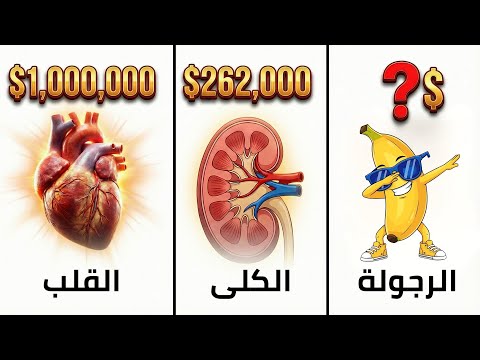 انت مليونير يا رجولة وانت مش عارف - جسمك يساوي كام في السوق السودا