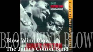 Blow Wind Blow - The James Cotton Band