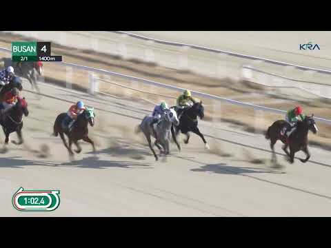 (Busan) 2026.02.01 R4 Class 5 (1400M) Handicap