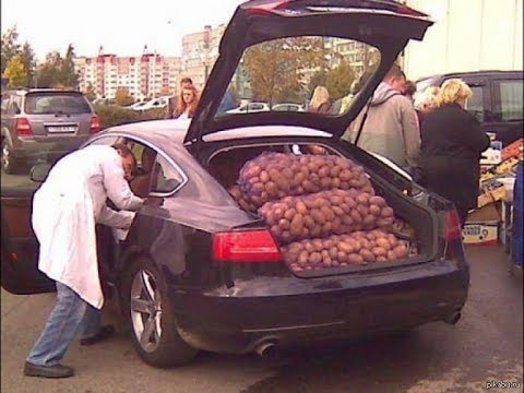 Как продать машину картошки за минуту или продавцы в городе Николаеве
