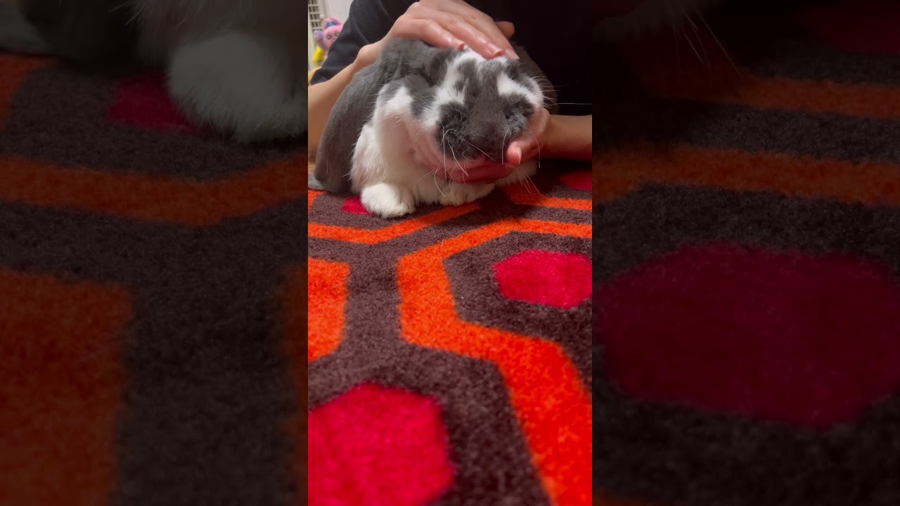 大きいおむすび