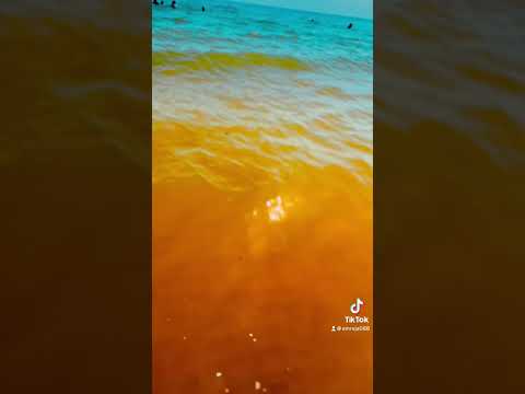 Frington on sea 🌊 #reels #shorts #youtubeshorts #foryou #trending #ytshorts #viral